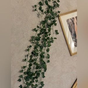 Wall vines/ivy